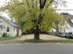 31 Caine St